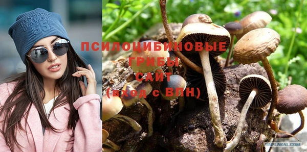 метадон Инта