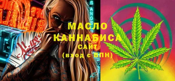 метадон Инта