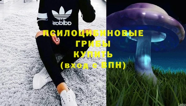 метадон Инта