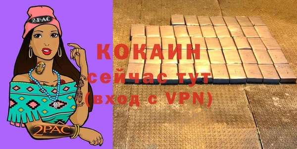 метадон Инта
