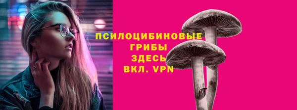 mdpv Иннополис